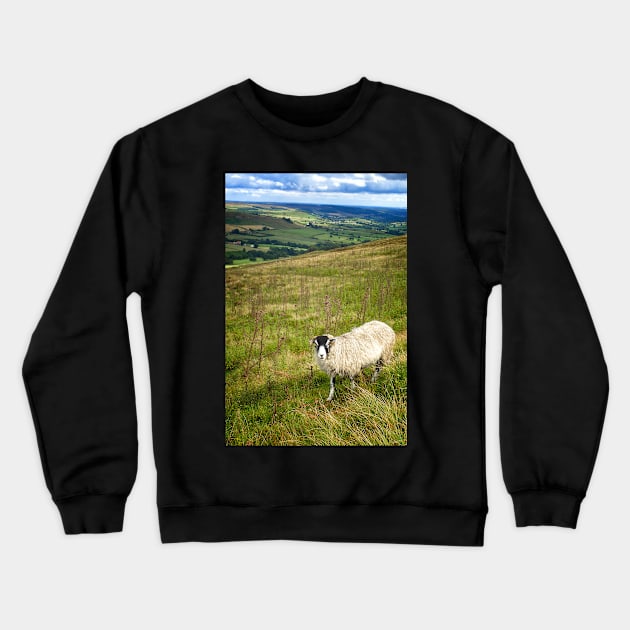 Black Face Sheep on the North York Moors Crewneck Sweatshirt by heidiannemorris